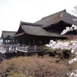 桜の見頃時期に京都清水寺・高台寺へお花見へ行ってきました【前編】