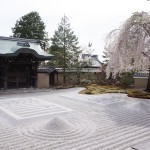 桜の見頃時期に京都清水寺・高台寺へお花見へ行ってきました【後編】