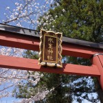 奈良の桜で名所の「氷室神社」とおすすめカフェ3選！