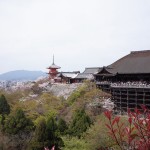 京都で宿泊するのに素泊まりできて安いおしゃれな宿おすすめ7選！