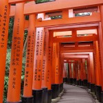 京都日帰り観光におすすめのコースへ行ってきました！