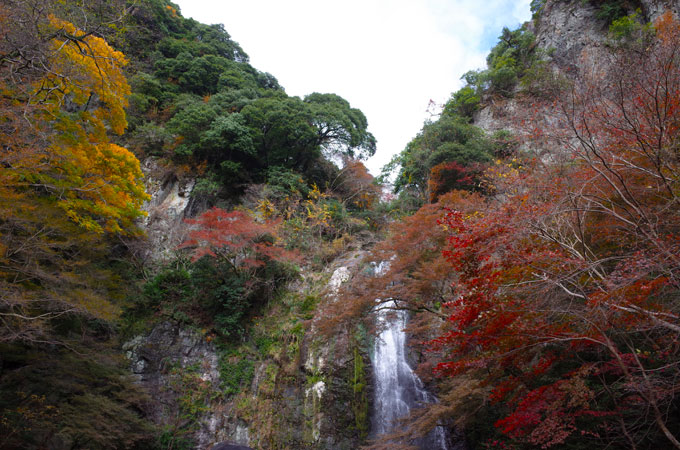 大阪で人気の紅葉スポット 箕面の滝 へ行って来ました Something Plus