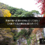 箕面の滝へ紅葉の見頃に行ってきた！【大阪で人気の絶景紅葉スポット】