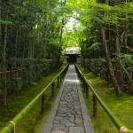京都大徳寺の高桐院でお抹茶と庭園でリラックス！