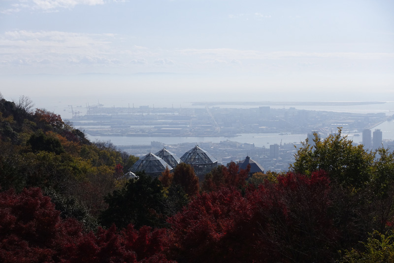 布引ハーブ園の山頂から見える神戸の街並み