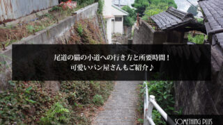 猫の小道の行き方