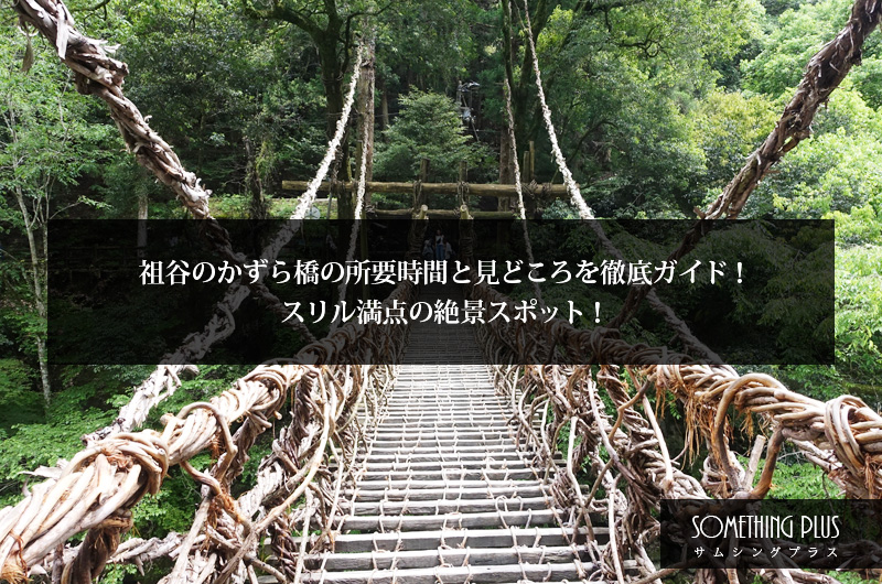 祖谷のかずら橋の所要時間と見どころを徹底ガイド！スリル満点の絶景スポット！