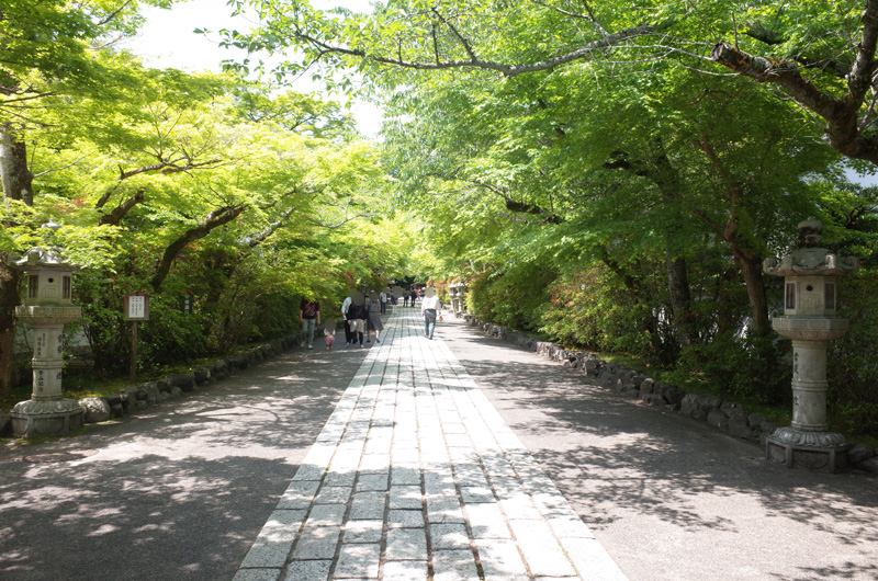 新緑が美しい石山寺の参道