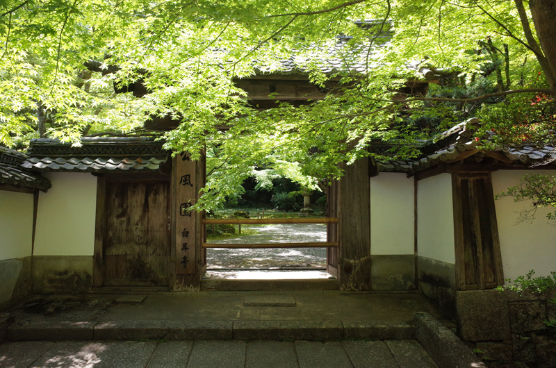 新緑に包まれた石山寺の公風園、散策が楽しい庭園風景