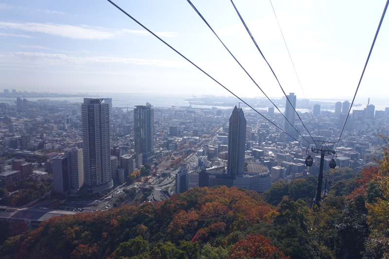 紅葉の季節は赤やオレンジに染まる美しい木々の風景も楽しめます