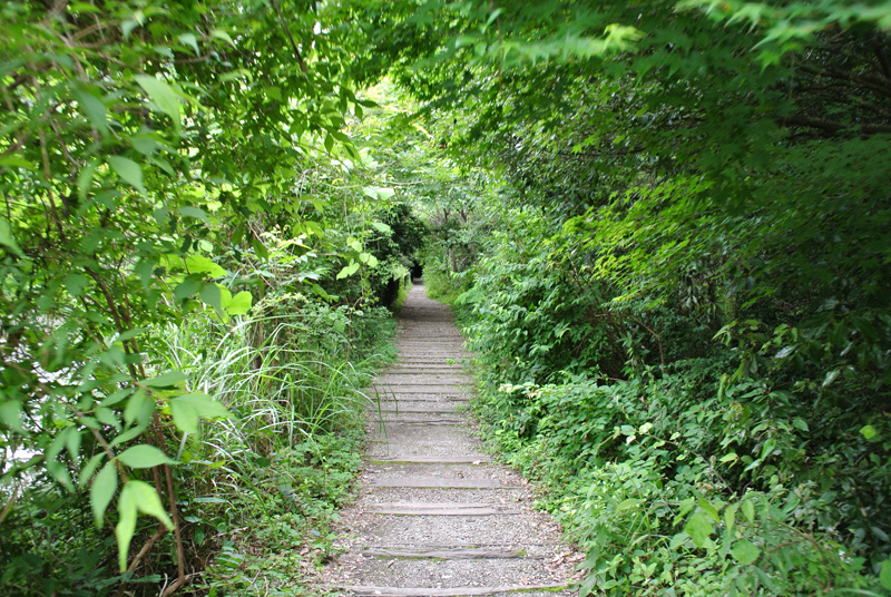 武田尾廃線跡ハイキングは初心者でも楽しめる秘境ルート
