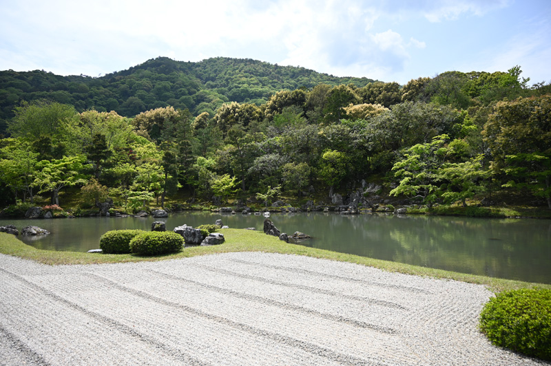 天龍寺の曹源池庭園の風景