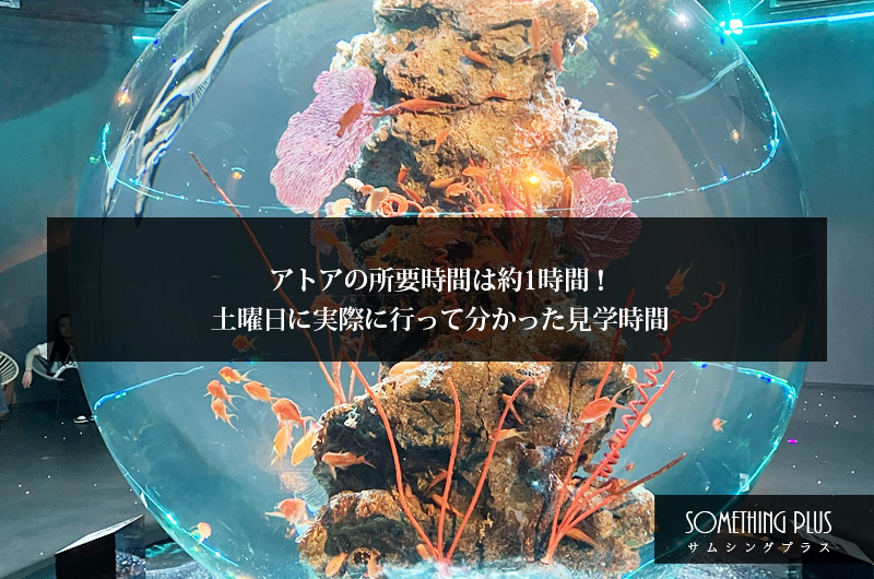 アトアの所要時間は約1時間!土曜日に実際に行って分かった見学時間