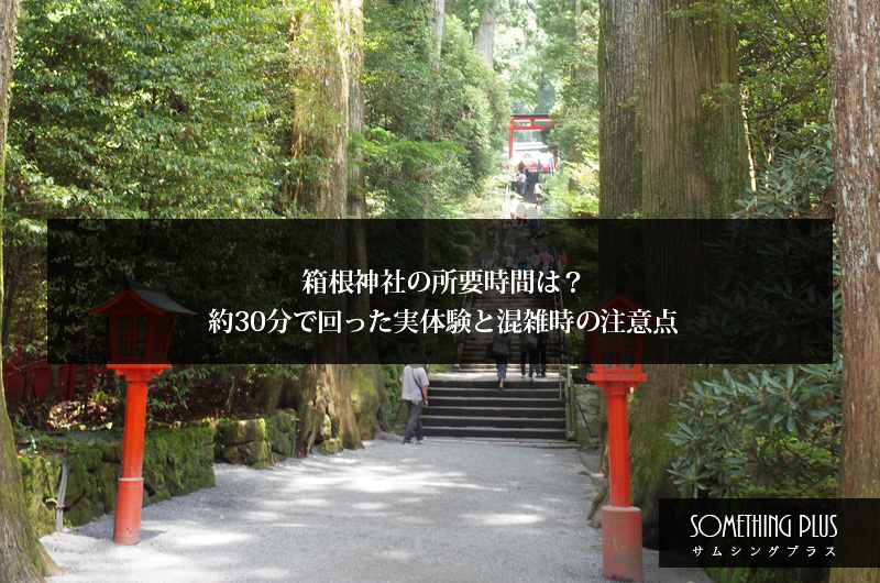 箱根神社の所要時間は?約30分で回った実体験と混雑時の注意点